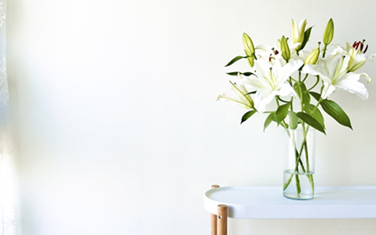 防カビ・抗菌機能付きクロス