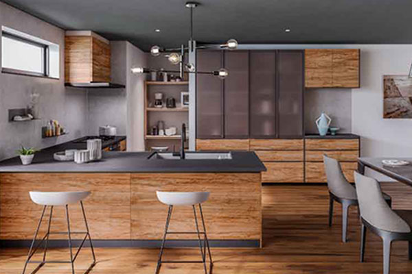 タカラスタンダード レミュー 扉カラーと引手